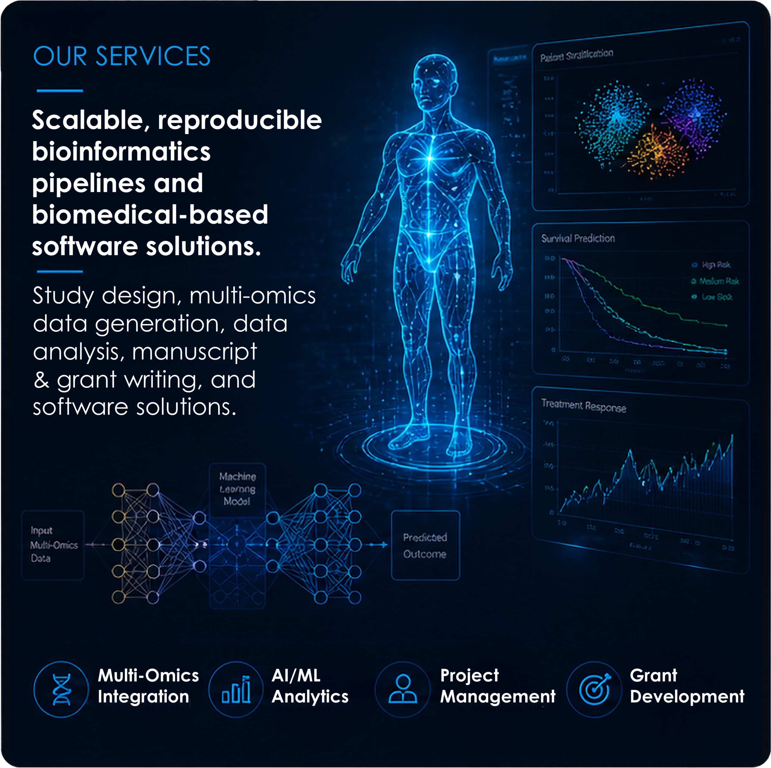 Our Services